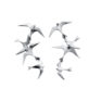 freedom flock earrings